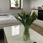 Ap 1 Apartament *