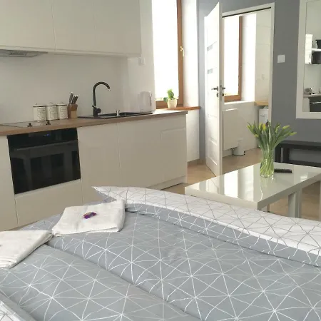 Ap 1 아파트 쳉스토호바