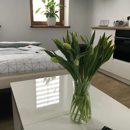 Ap 1 Appartement *