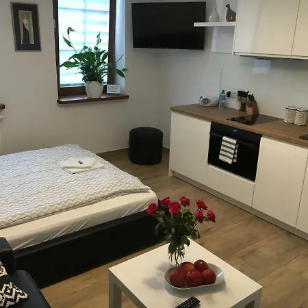 Ap 1 Lejlighed Częstochowa