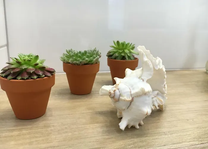 Ap 1 צ'סטוצ'ובה